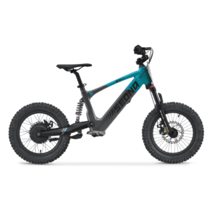 draisienne-sedna-sx-16-2024-1